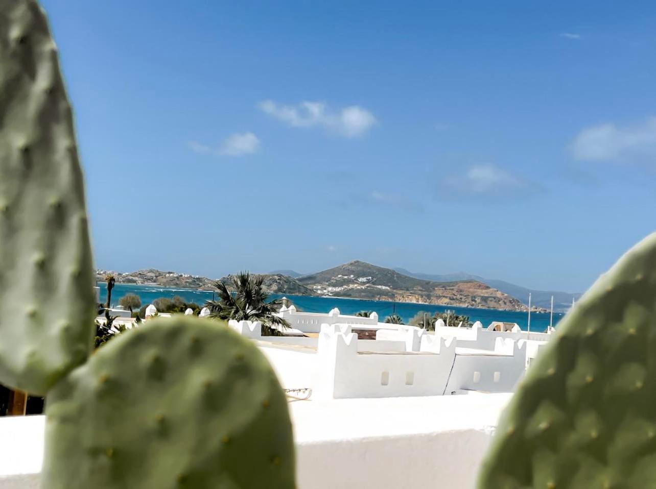 Sea View Casa Apartment Naxos City Ngoại thất bức ảnh